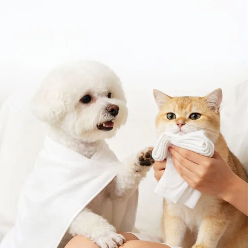 Disposable Pet Bath Towel Super Absorbent Lint-Free Dog Cat Drying Wipes 3 Sizes Thick Disinfected Pet Grooming Towels For Puppy