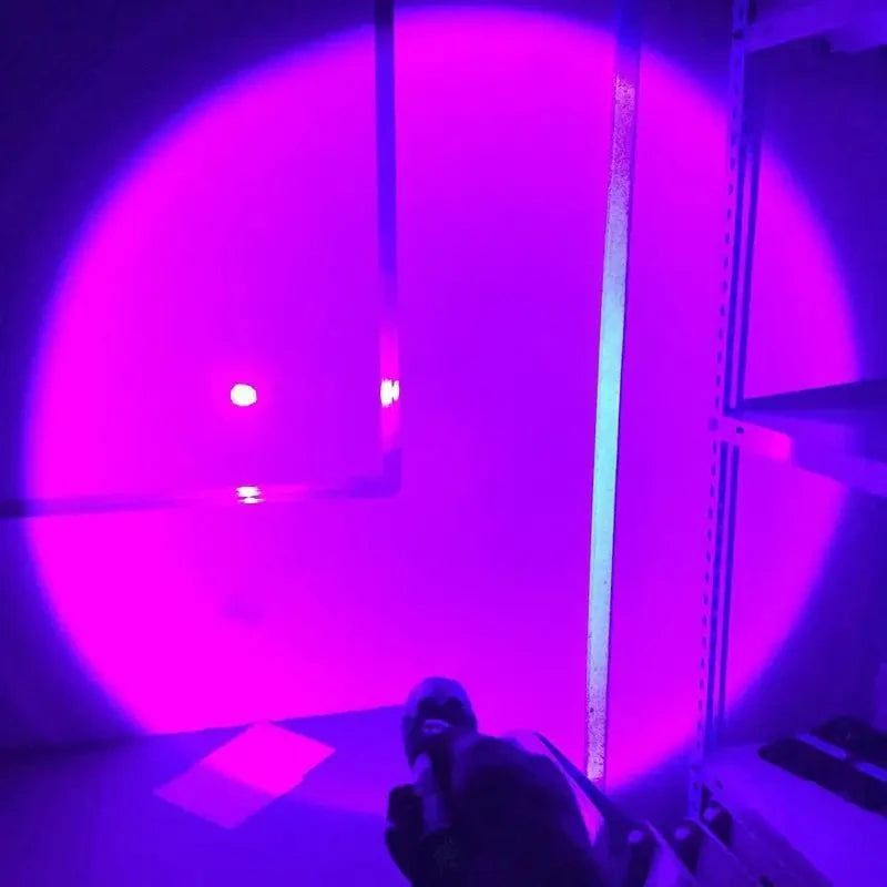395 nm Rechargeable UV Torch with Adjustable Focus